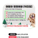 애견명가 이미지