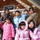 고원목장(2) 이미지