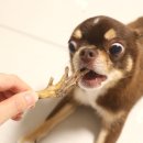 뽀그리 상점 이미지