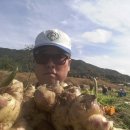 뫼뿌리농장 이미지