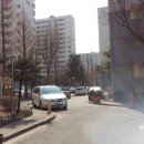 장미아파트 앞 이미지