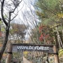 두릉산자연휴양림 이미지