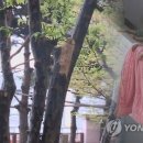 이씨이불