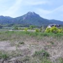 곡강농장 이미지