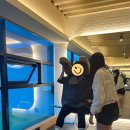 머슬팩토리24 하대점 이미지