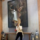 센스쟁이 이미지