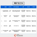 더클회계법인 이미지