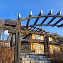 고삼호수로 | 고삼호수 뷰 맛집 고호커피(고삼호수커피) 방문후기