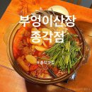 팔팔밧데리 | 종각 술집 부엉이산장 종각점 곱도리탕 솔직후기