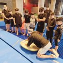 대화유도체육관 이미지