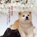 하치 이야기 [八チ公物語 Hachi Story. 1987] 이미지