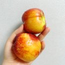 쥬이시팜