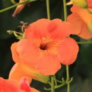 뚝섬한강공원-27 이미지