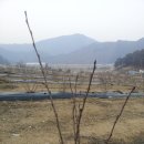 상진농장2 이미지