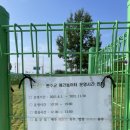 완주군 반려동물 놀이터 이미지