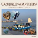 해맞이펜션 | 구매항 쭈꾸미 낚시 (5시간) + 해맞이펜션 + 바베큐 무제한 올인원패키지