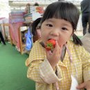 안하농장 이미지