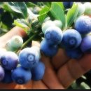 구술농장 이미지