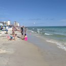 [미국 여행] 플로리다 (Florida) 파나마 시티 비치(Panama City Beach) 이미지