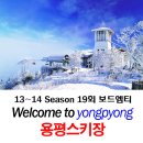 ◑ [ 국내TOP5 용평스키장 + 와인파티 엠티 ] ◑ 3월1일~2일 - 1박2일~ 평창 소치 올릭픽 계최지 관광^^ ◑ (부제 : 이성과함께 짜릿하고 즐거운 스키장여행 ) 이미지