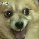 설렘 이미지