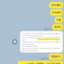37.5케이티엑스 | 생후 62일 신생아 여아 서혜부탈장 수술 과정 기록 1