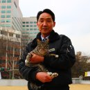 세종크라우드
