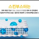 프로샤인 이미지