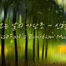 비가 오면~~~~~~~~~~~~~~~~~ 이미지