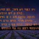 전정호농장 네이버블로그