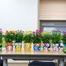 반려식물 원예아트 이미지