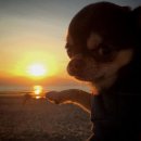 개버드 스쿨 | 10월 4주