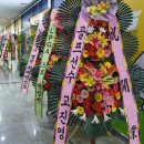 씨제이골프아카데미 | 동탄 골프레슨 : KMS 골프 아카데미 골프연습장 후기