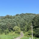 머스트화이트2동 이미지