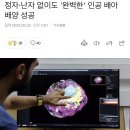 정자•난자 없이도 &#39;완벽한&#39; 인공 배아 배양 성공 이미지