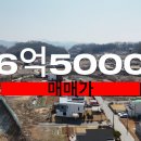 성심부동산중개인 이미지