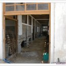 도초초등학교 이미지