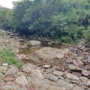 희여울과 꽃나예 이미지