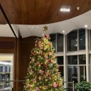 랑 호텔(RANG Hotel) | Nina Hotel Tsuen Wan West 홍콩 호텔 추천 내돈내산 숙박 후기