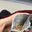 속사 | 속사이다 환 솔직후기 양배추환으로 속 편해졌어요 ㅣ소화제환 ㅣ소화효소추천 ㅣ양배추환스틱 ㅣ양배추...