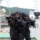 서해해양특수구조대 이미지