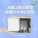 서울고등검찰청 장애인식개선교육 후기 (ft. 노선영교육문화연구소)