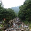 비슬산자연휴양림 이미지