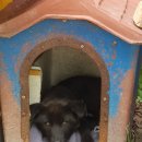 남구보건소 화장실 이미지