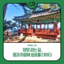 38선 숨길 디모테오길 | 양양 걷는 길, 몸과 마음에 쉼표를 더하다