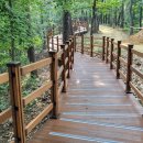 푸른공원 이미지