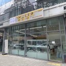 특수견114 | 수원 인계동 강아지분양 강아지분양 고양이분양 멍앤냥 수원점 영업시간 가는길
