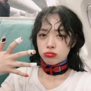 스타일 퍼피 이미지