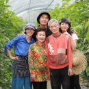 인해농원 이미지