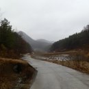 운학동농장 Daum카페